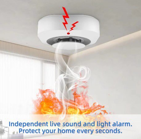 Gautone Independent Smoke Alarm Fire Protection Smokehouse Home Security System Smoke Detector